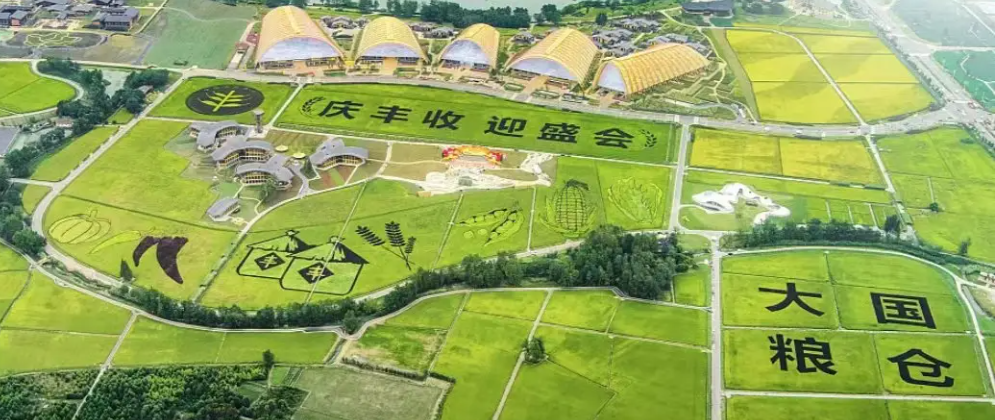 第五个中国农民丰收节|乐竞官方网站携农产品品质成分低场核磁快速分析仪 亮相天府农博园